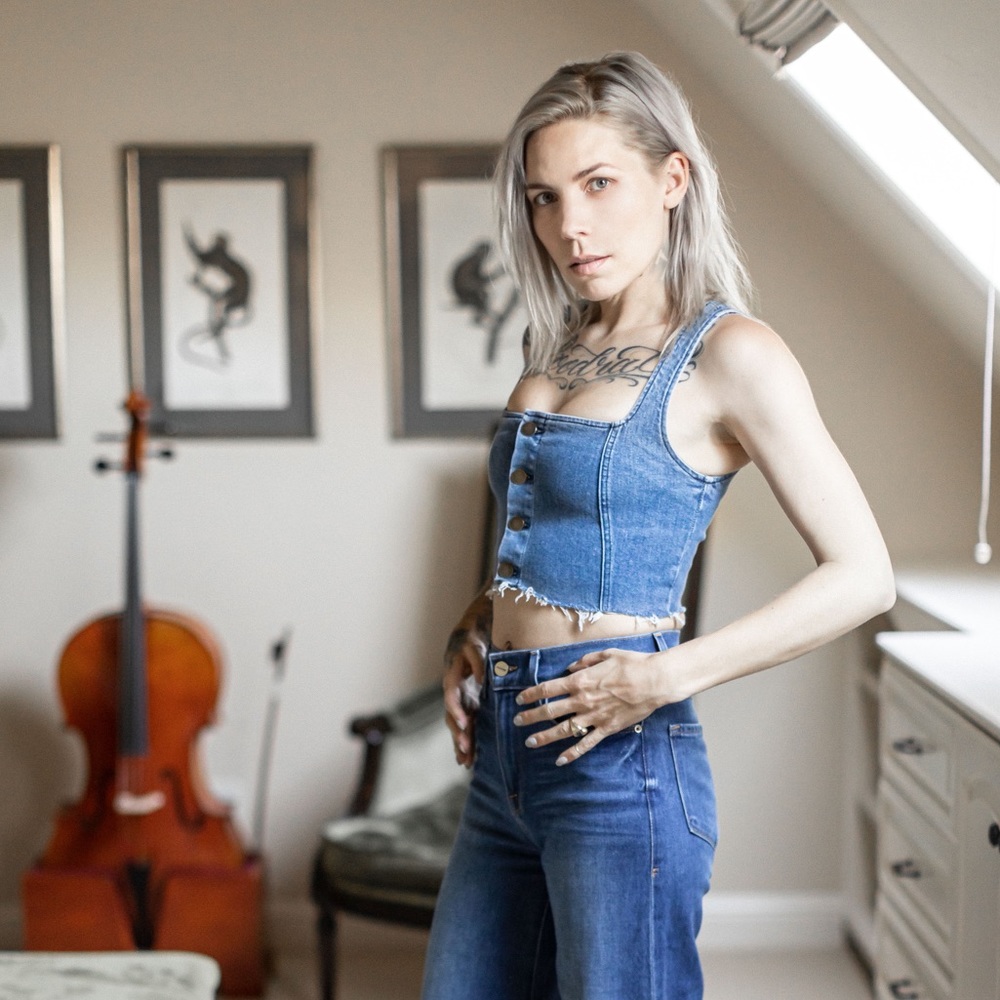 Reformation denim button up crop top